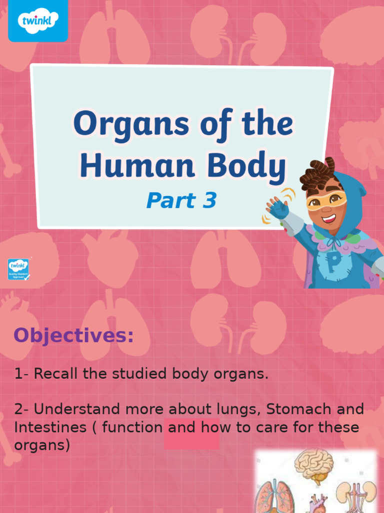 Understanding Human Body Organs | PDF | Lung | Gastrointestinal Tract