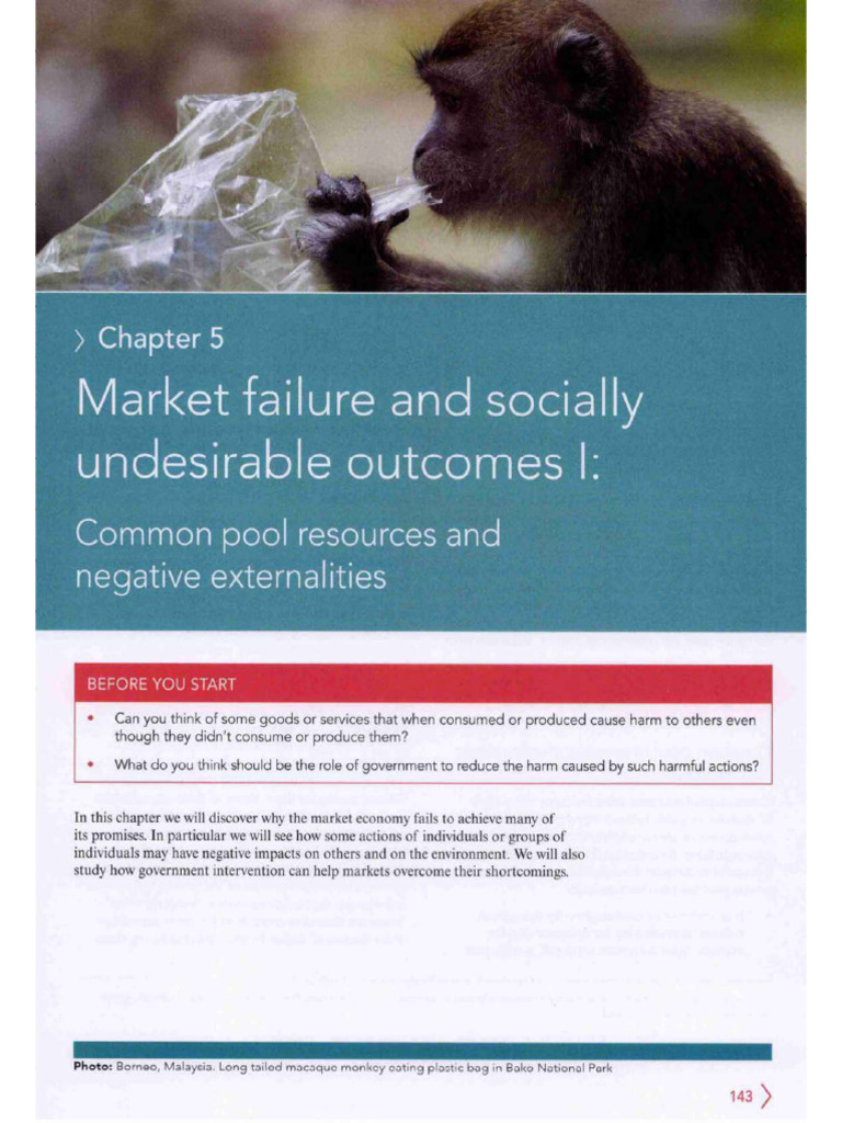 IB Ch5 Market Failure and Socially Undesirable Outcomes I | PDF