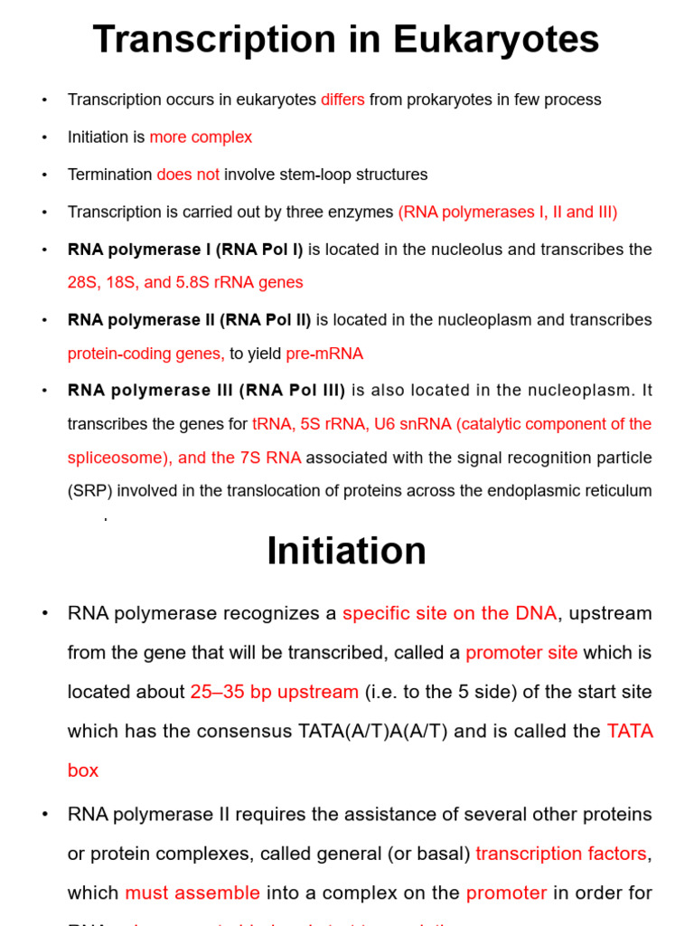 Eukaryotic Transcription Process Explained | PDF | Rna | Directionality ...
