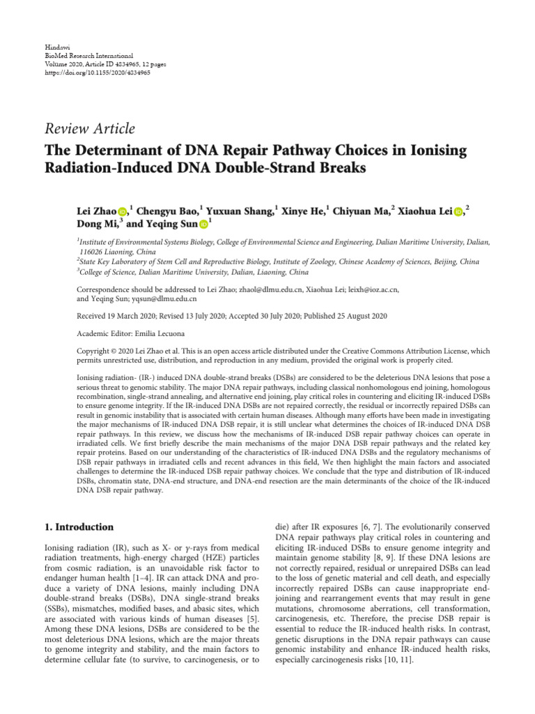 DNA Repair Pathway Choices in Radiation | PDF | Dna Repair | Dna