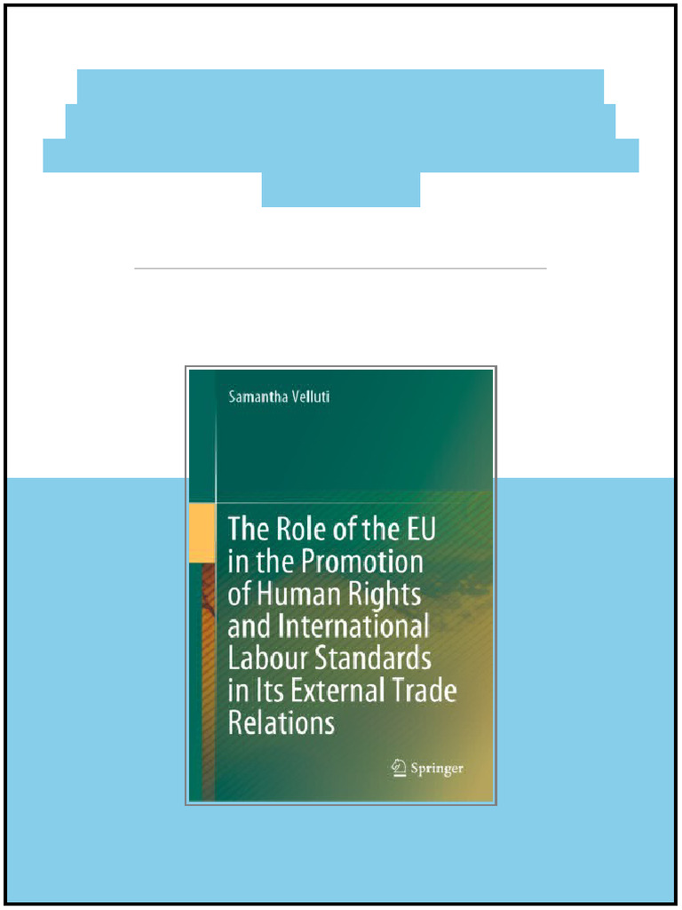 The Role of The EU in The Promotion of Human Rights and International ...