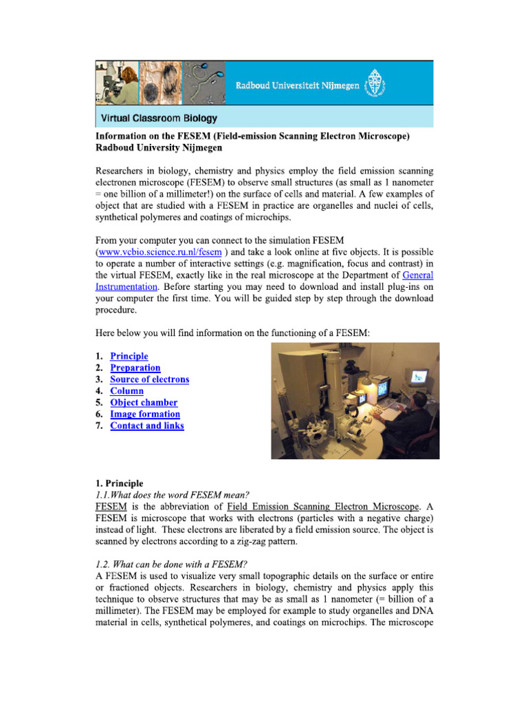 Fe Sem Manual | PDF