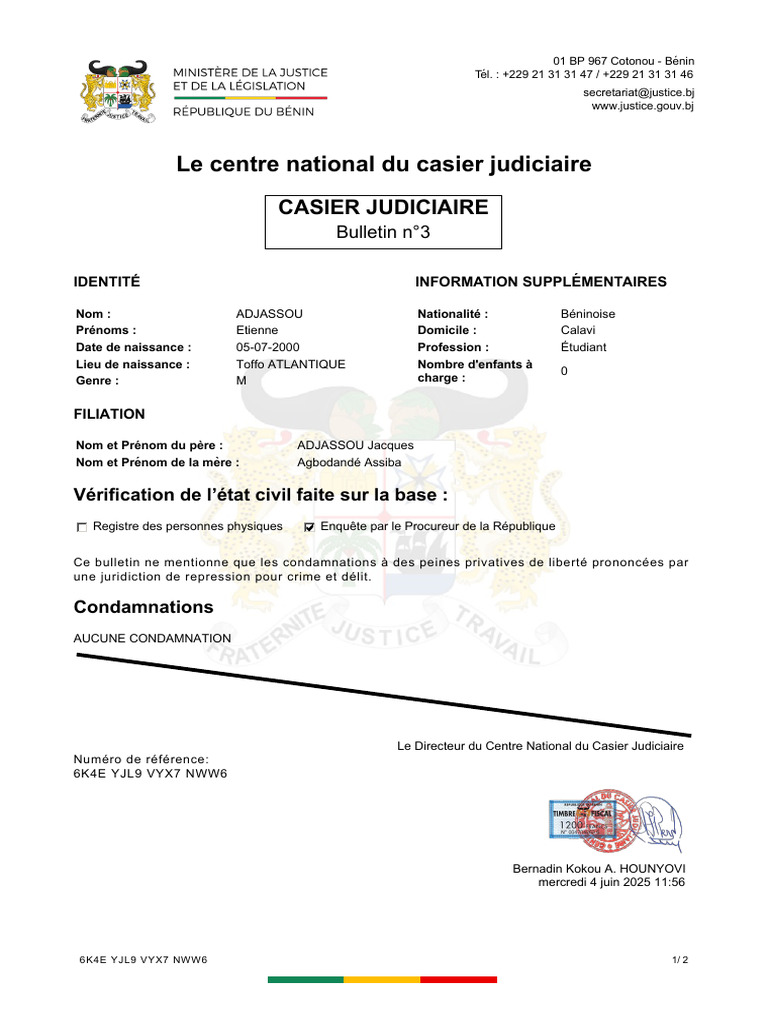 Bulletin n°3 du casier judiciaire d'Étienne | PDF | Justice | Crime et ...