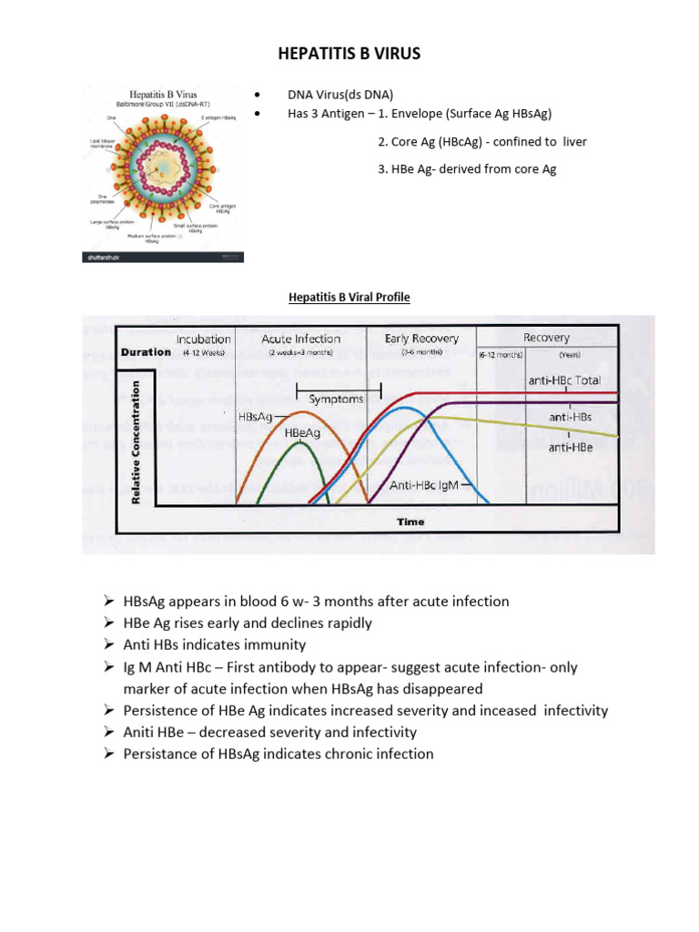 Hepatitis B | PDF