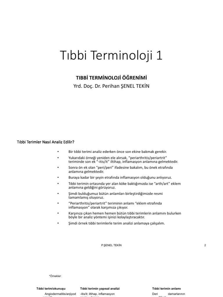 Tıbbi Terminoloji 1-3 | PDF