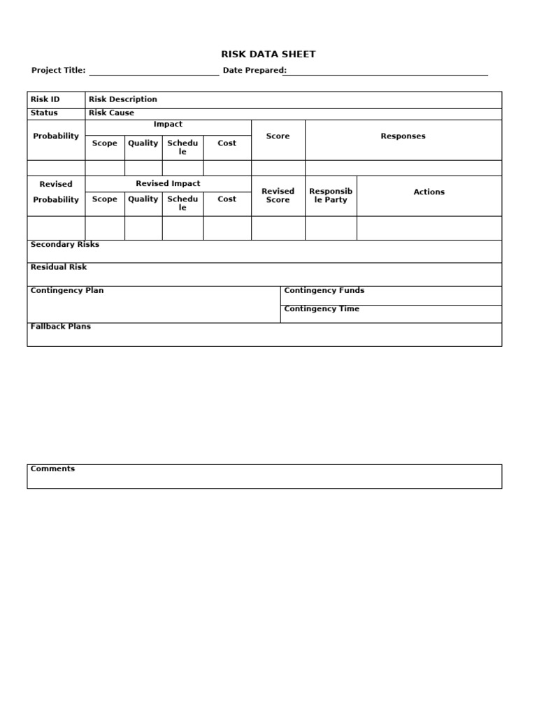 Comprehensive Risk Data Sheet | PDF