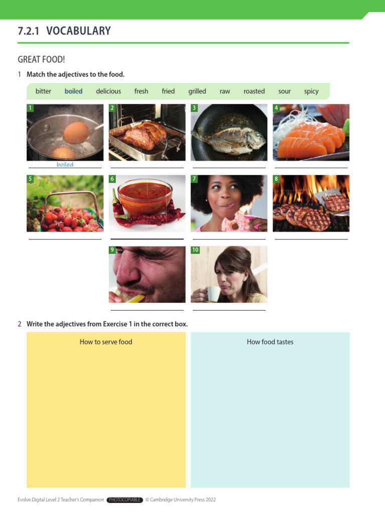 Evolve Digital Level 2 Worksheets 7.2.1 PDF | PDF