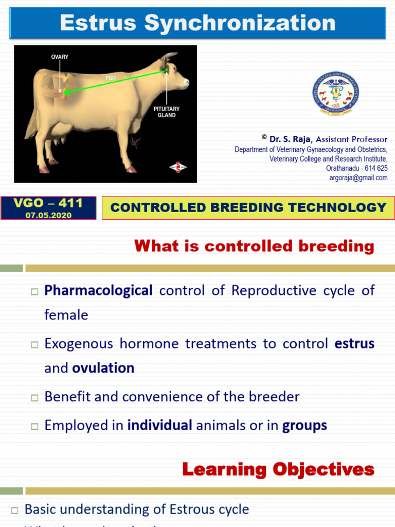 Estrus Synchronization | PDF | Gynaecology | Endocrinology