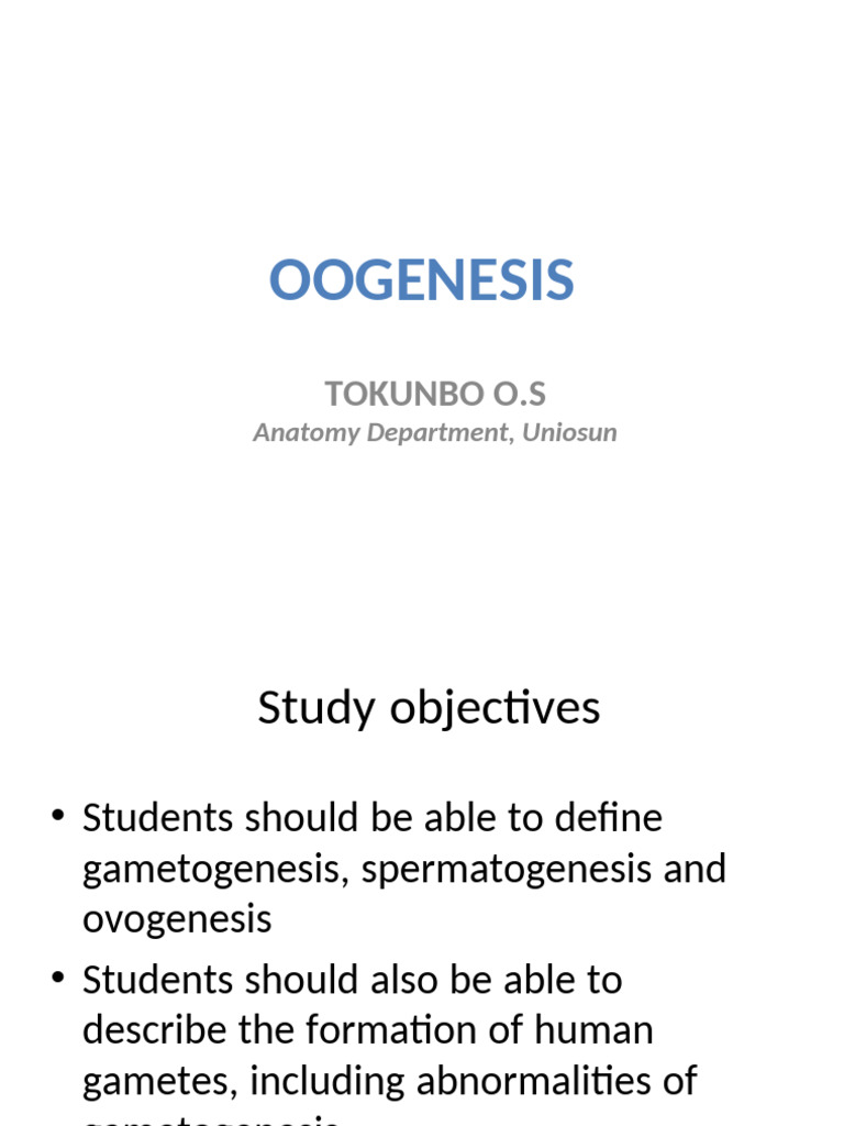 4 Oogenesis | PDF | Meiosis | Ovary