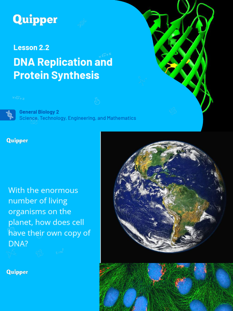 DNA Replication and Protein Synthesis Guide | PDF | Dna Replication ...