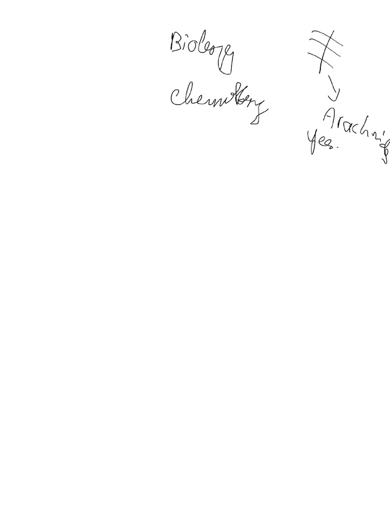 Random Doc 2 | PDF