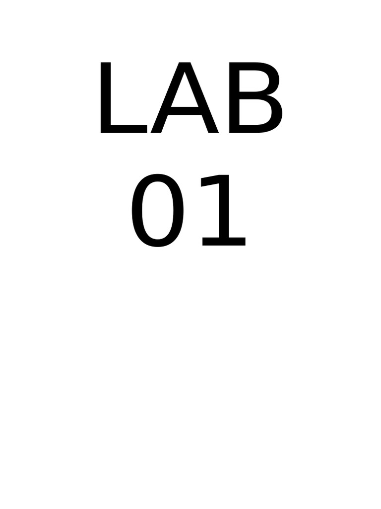 Lab 01 | PDF | Computer Programming | Software Engineering