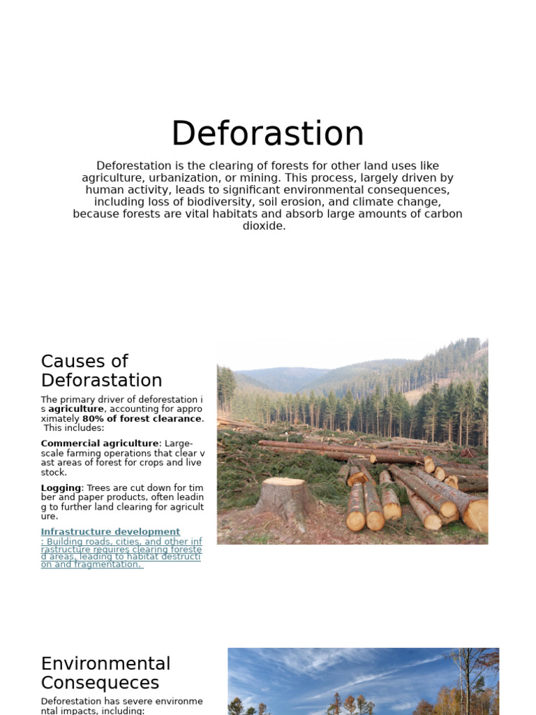 Understanding Deforestation Causes & Effects | PDF