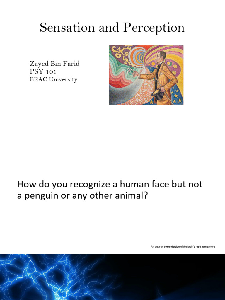 Understanding Sensation and Perception | PDF | Senses | Perception