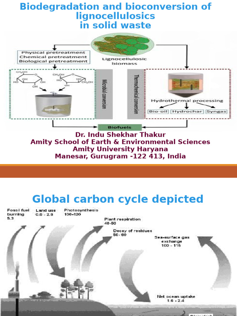 Lignocellulosic Waste Biodegradation Insights | PDF | Cellulose | Biology
