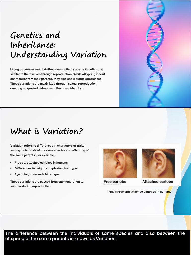 Genetics and Inheritance Explained | PDF | Dominance (Genetics) | Heredity