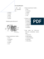 Evaluasi Tumb Paku