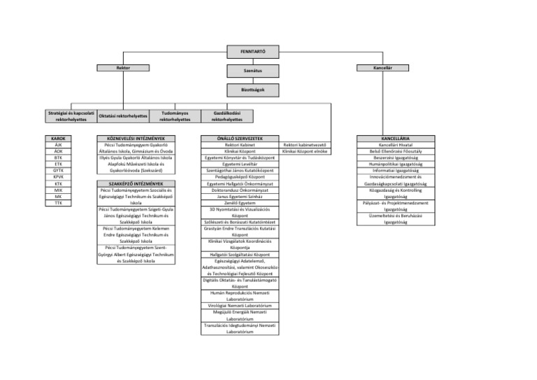 Pte Organogram 20240901 | PDF