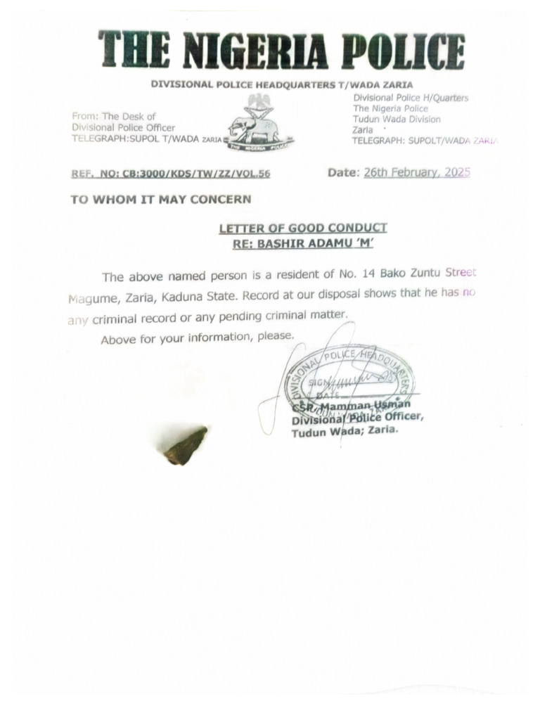 Police Report | PDF