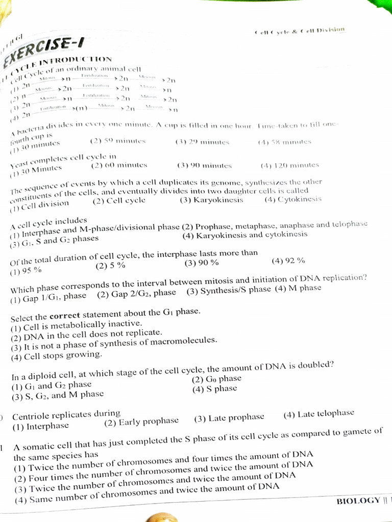 Cell Cycle | PDF | Meiosis | Mitosis