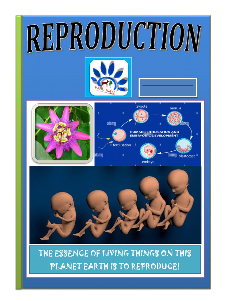 Understanding Reproduction in Life | PDF | Meiosis | Fruit