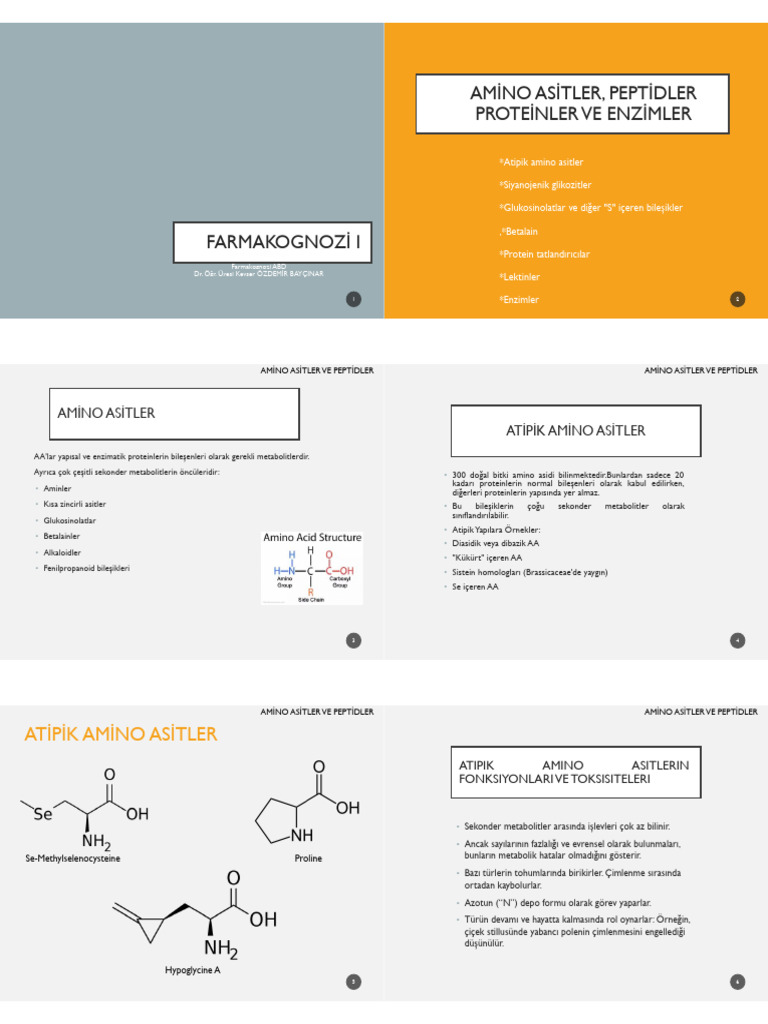 Proteinler - PPTX - Google Slaytlar | PDF