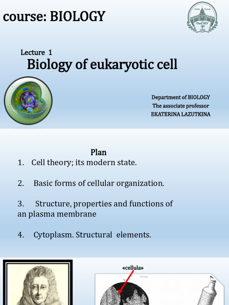 Eukaryotic Cell Biology Overview | PDF | Cell (Biology) | Endoplasmic ...