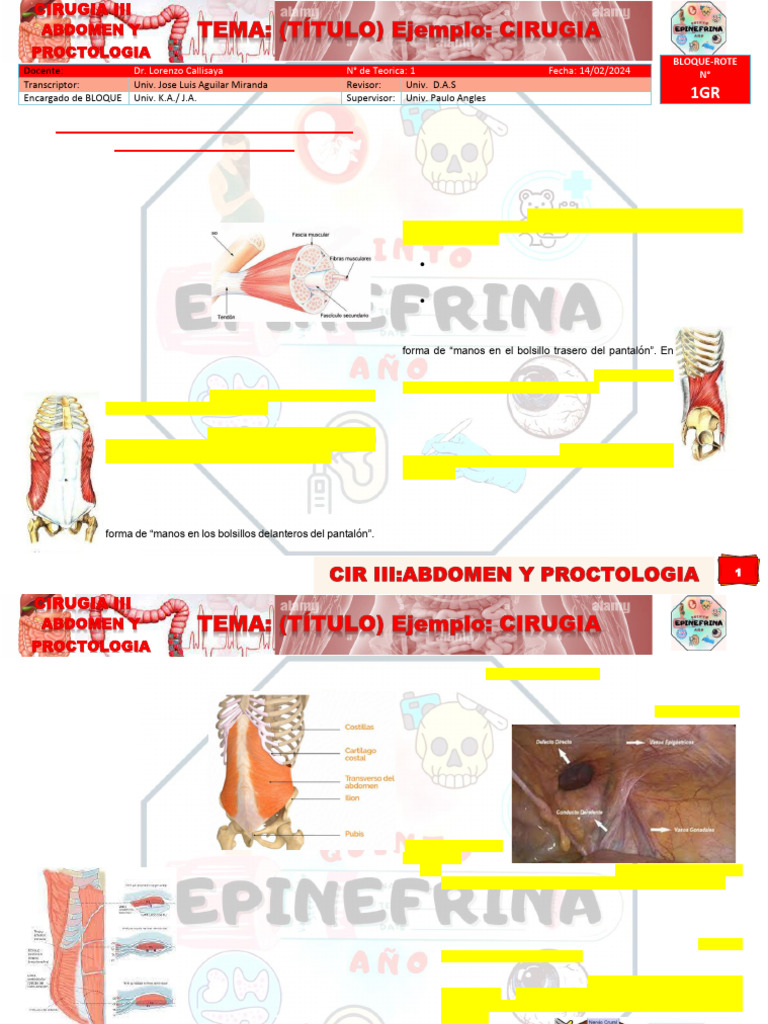 Compartir PROCTO 1 ROTE - 2024 | PDF | Abdomen