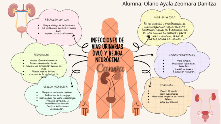 IVU y Vejiga Neurógena: Riesgos y Prevención | PDF | Infección del ...
