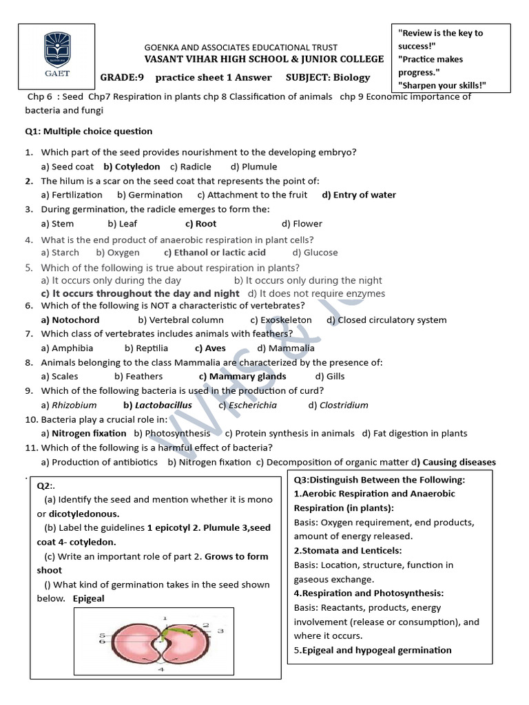Grade 9 Bio Practice Sheet 1 Answer Term 1-25-26 | PDF | Cellular ...