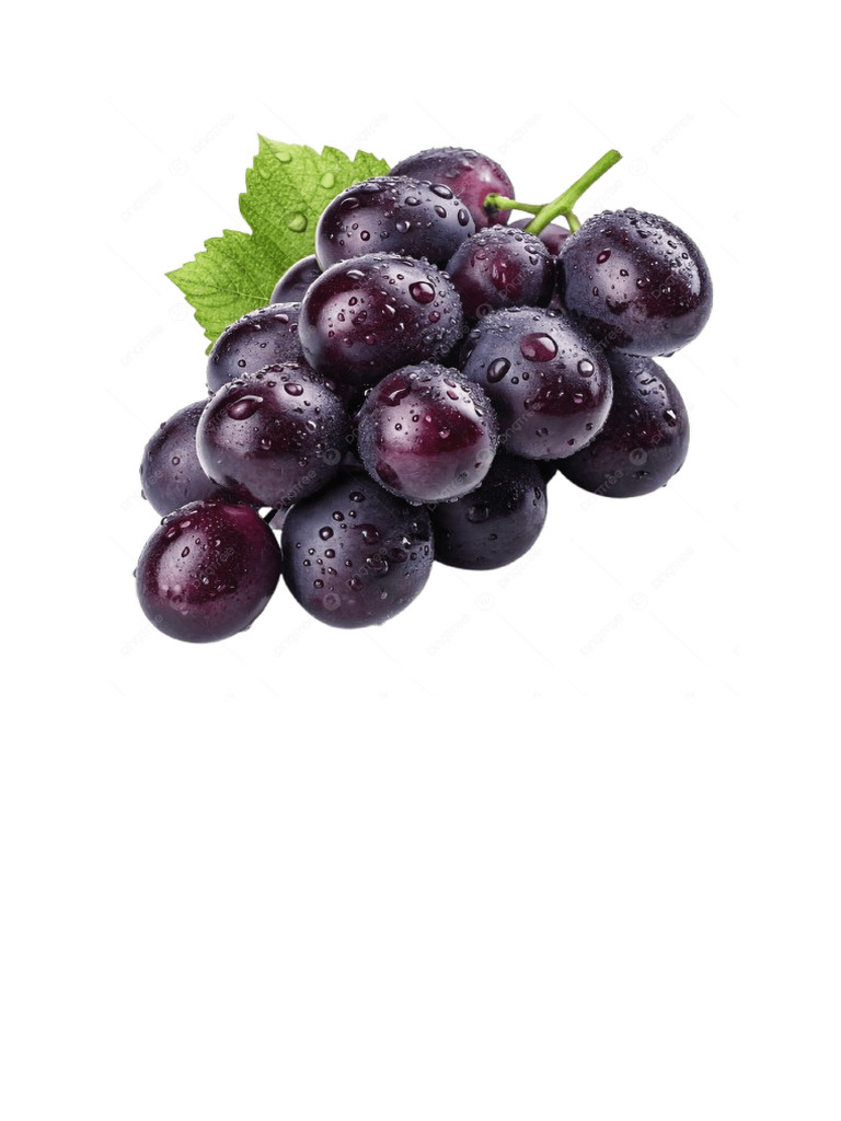 Grapes | PDF