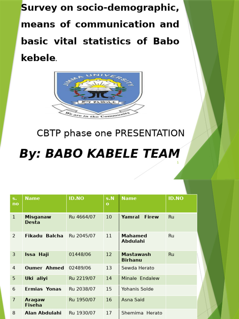 Socio-Demographic Survey of Babo Kebele | PDF | Sample Size ...