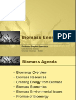 Biomass Energy: Professor Stephen Lawrence