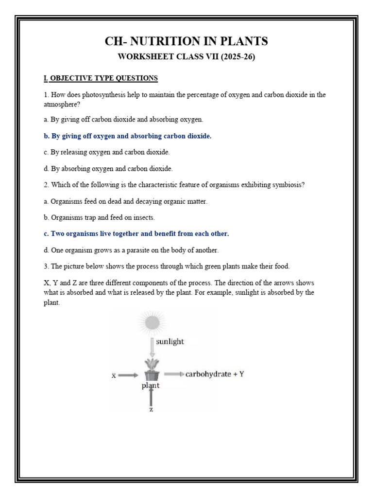 Nutrition In Plants For Class 7 Worksheet