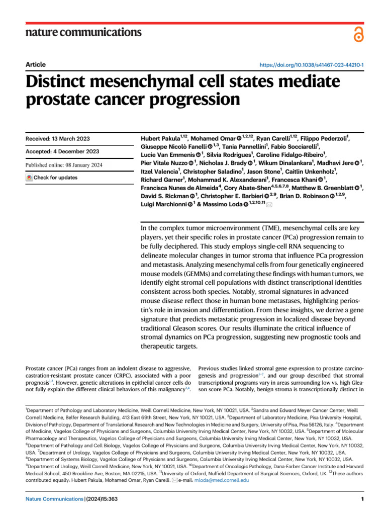 Mesenchymal Cell Roles in Prostate Cancer | PDF | Metastasis | Pathology