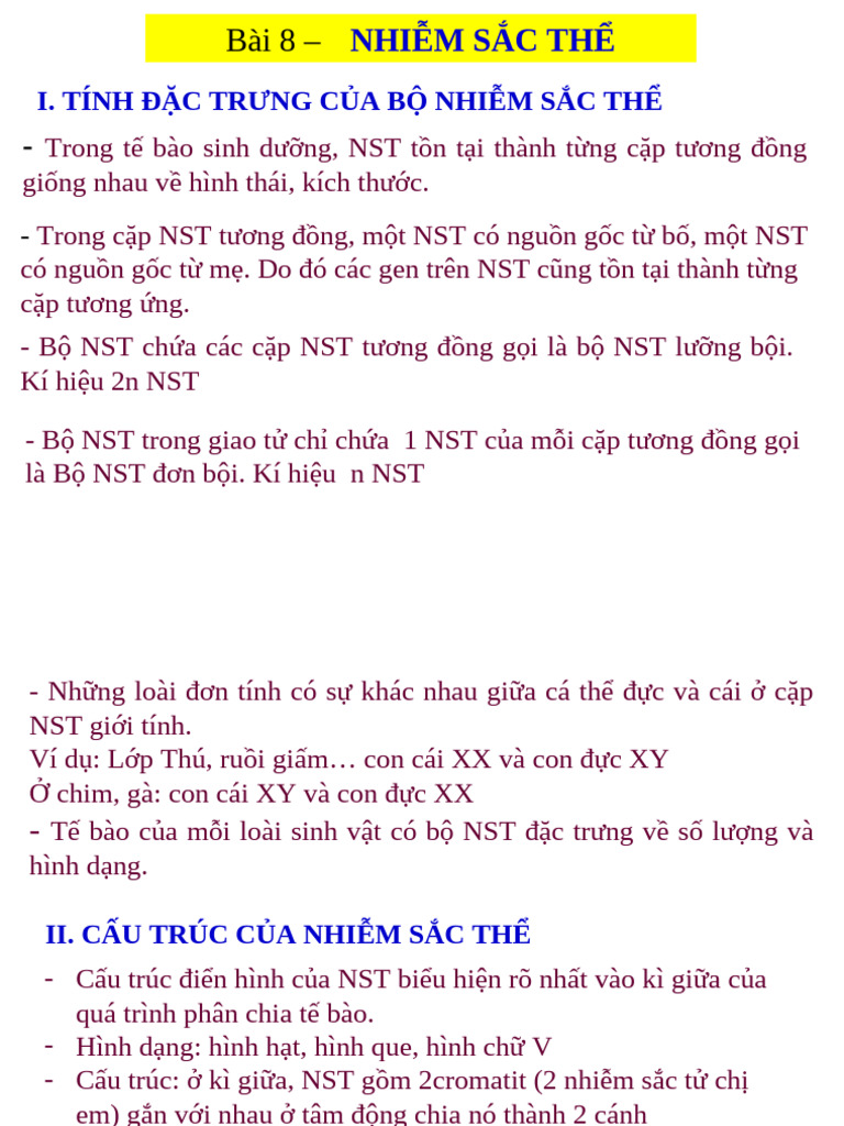 Bài 8 - Nội Dung Bài Ghi | PDF