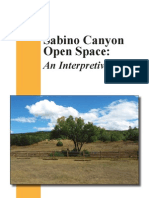 Sabino Canyon Open Space: An Interpretive Guide