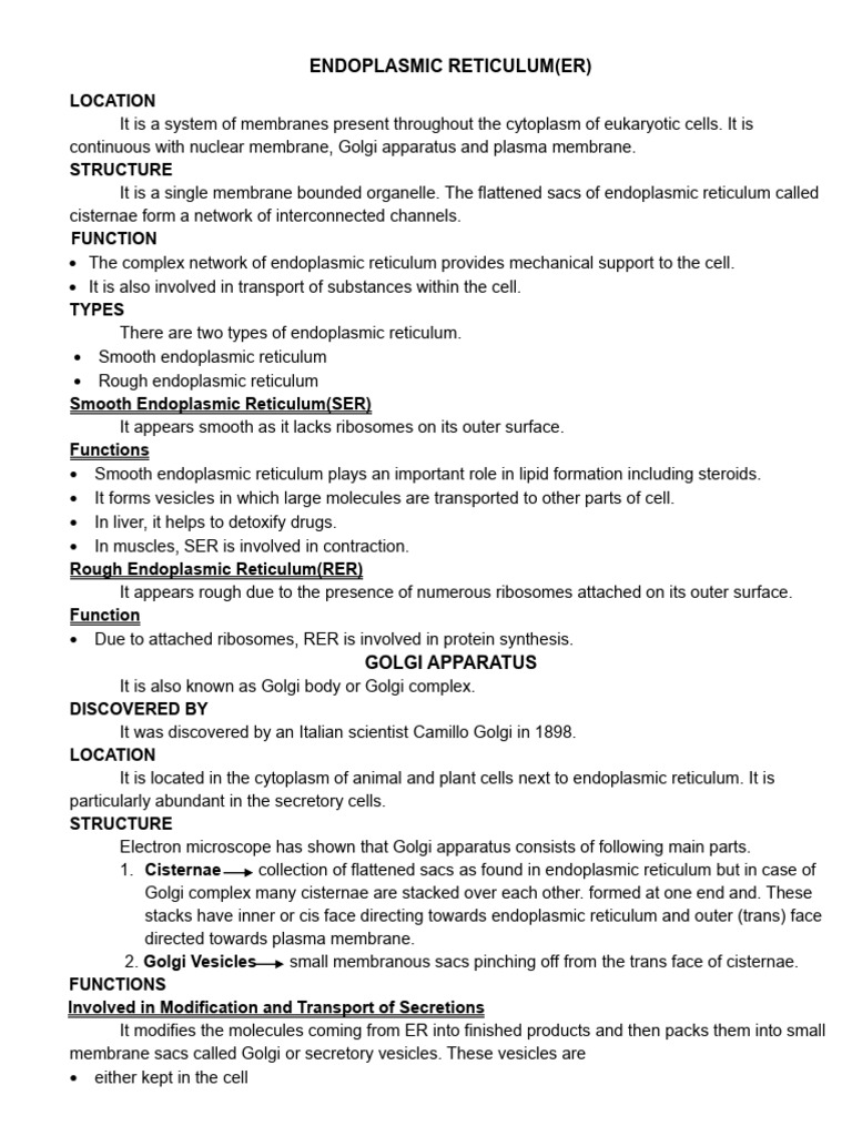 Endoplasmic Reticulum and Golgi Apparatus Overview | PDF | Endoplasmic ...