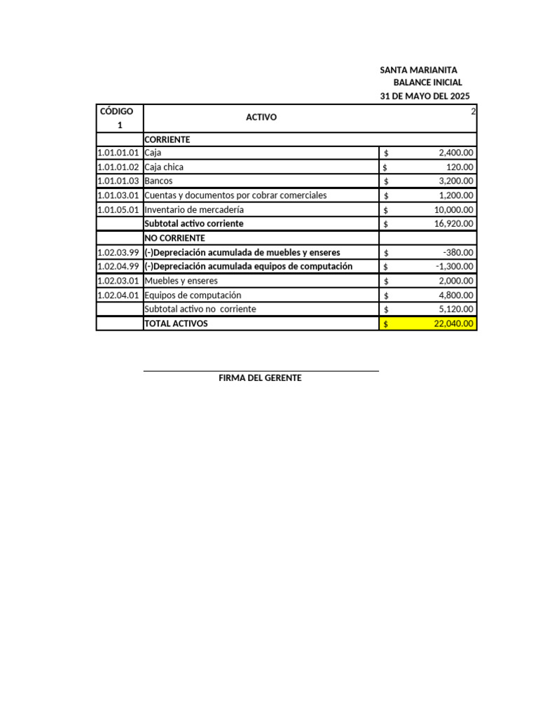 Balance Inicial y Plan de Cuentas 2025 | PDF | Contabilidad | Activo fijo