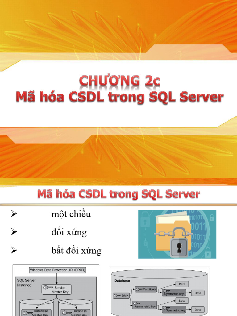 BM CSDL - Chuong 2C - Doc Them - Ma Hoa CSDL Trong SQL Server | PDF