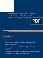 Vascularización Del Sistema Nervioso