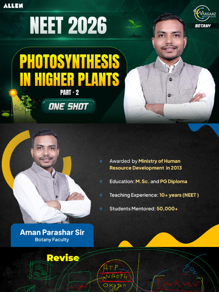 Understanding the Calvin Cycle and Pathways | PDF | Photosynthesis ...