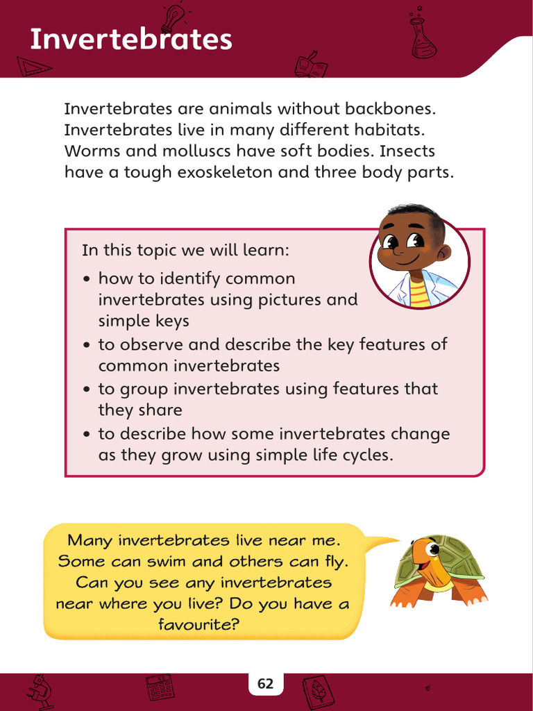 Y2 Pips WB | PDF | Insects | Invertebrate