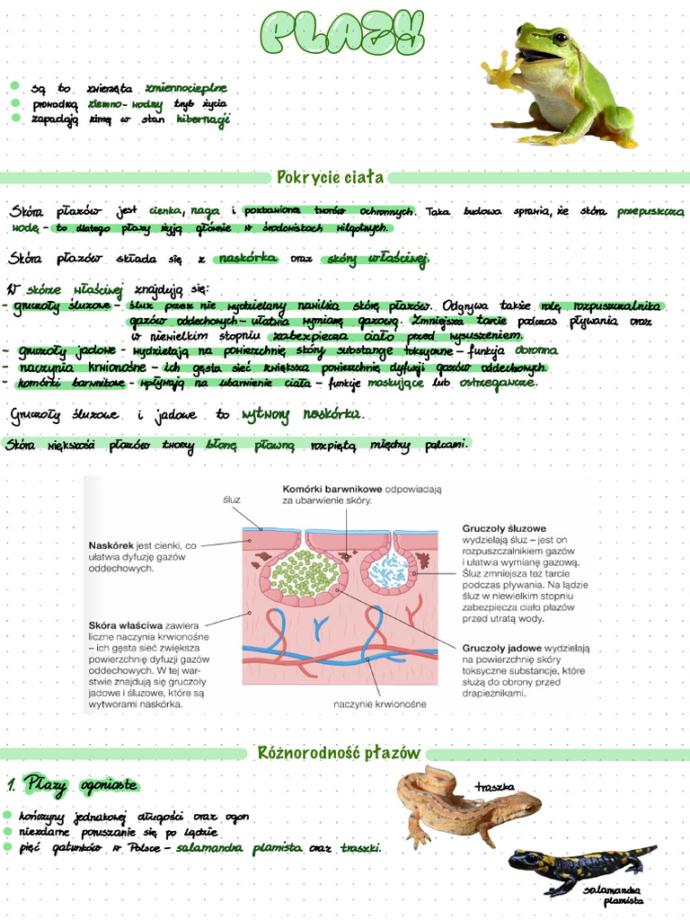 Płazy | PDF