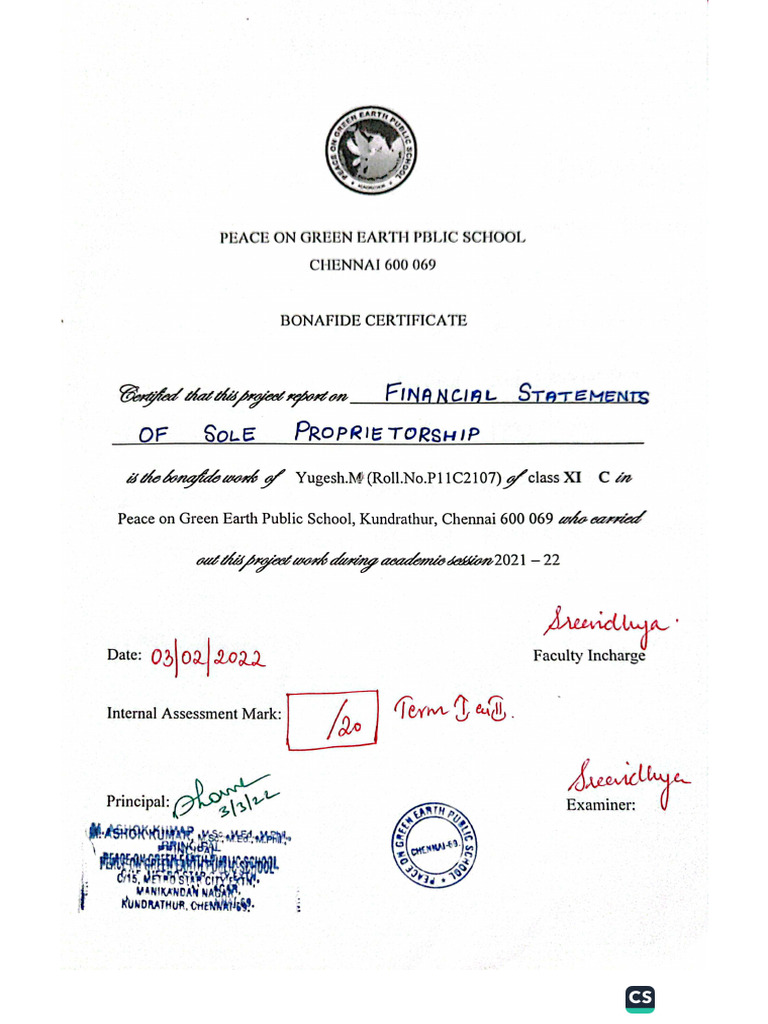 Accountancy Project Example | PDF