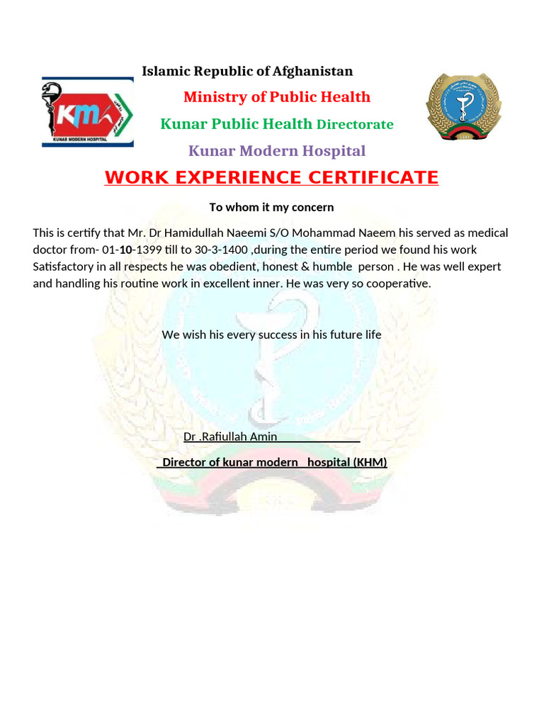 Work Experience Later | PDF