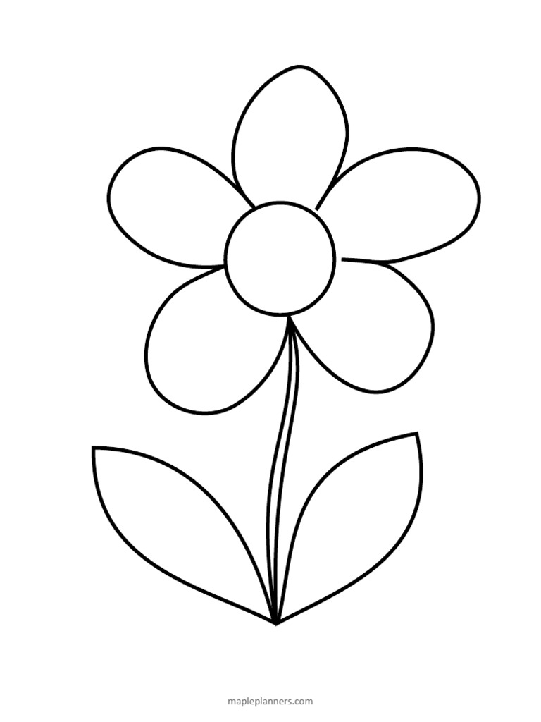Flower | PDF