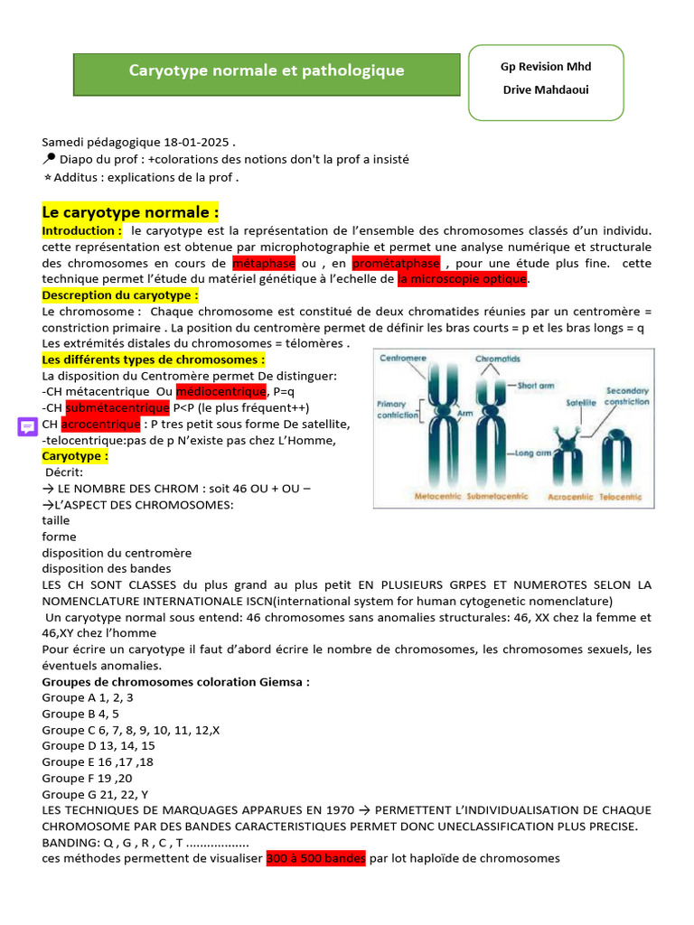 Caryotype : Analyse et Techniques de Marquage | PDF | Cytogénétique ...