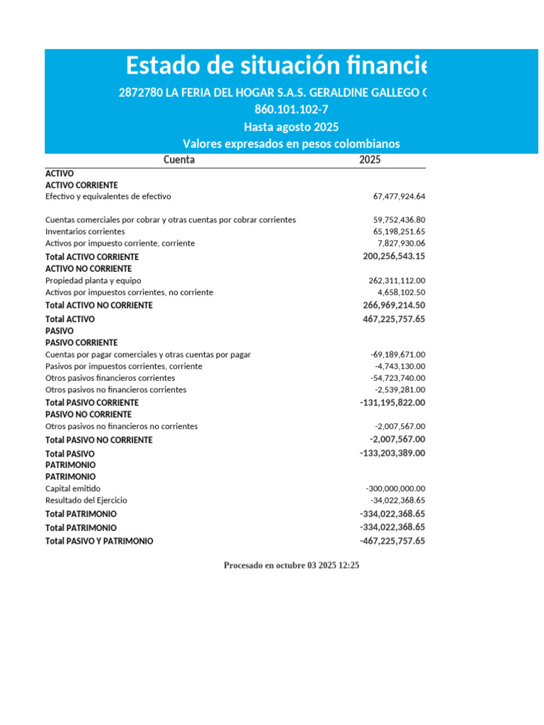 Estado de Situacion Financiera | PDF | Dinero | Economias