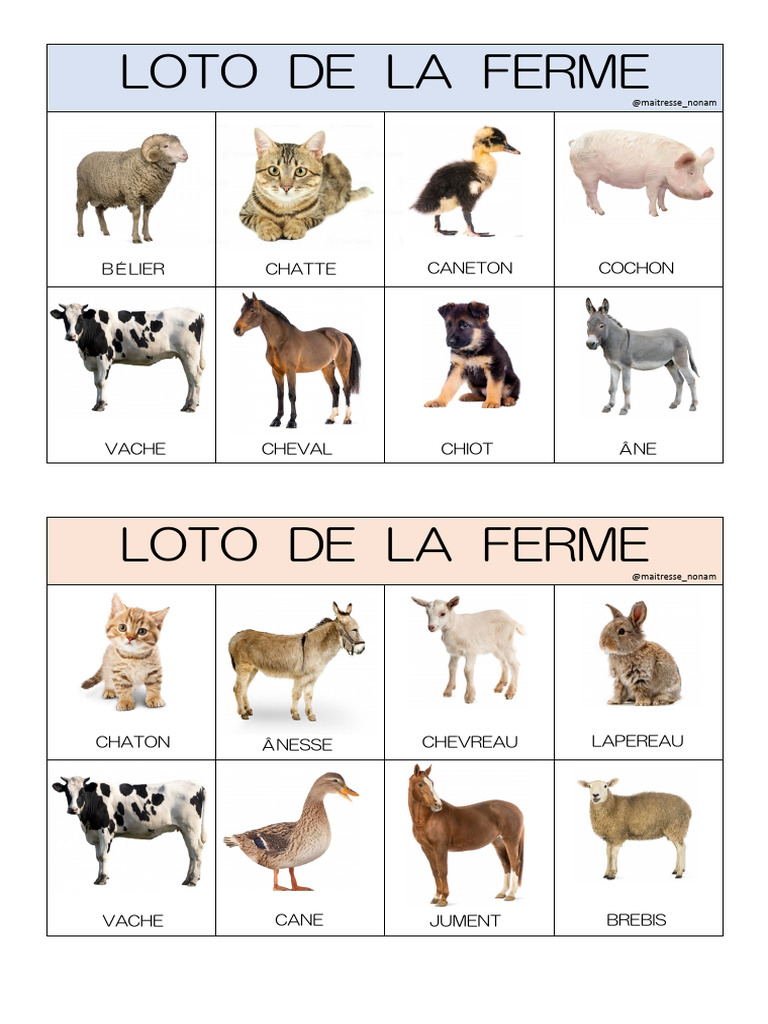 Loto de la Ferme : Animaux à Identifier | PDF